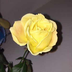 Meet your Posher, Gabby